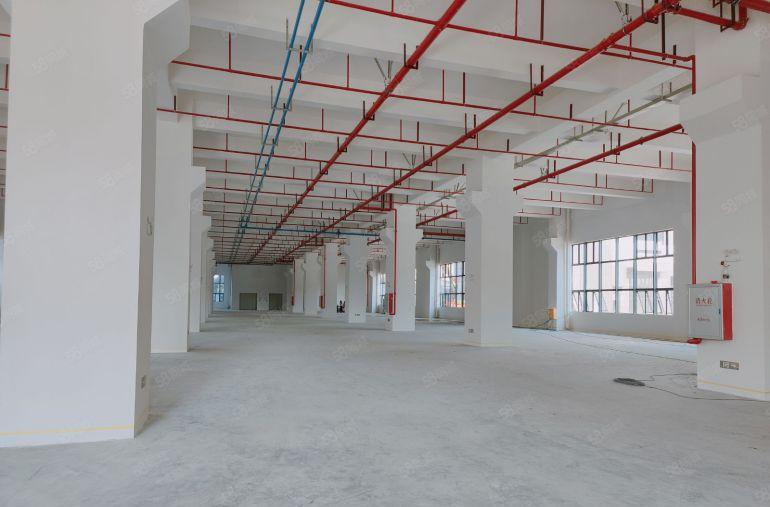 大朗原房东10万平厂房出租，大小可以任意分租，价格实惠