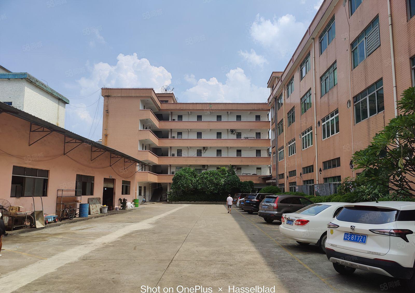 15起低价靓盘大朗临深高速入口1万平经典独院厂房出租大小可分