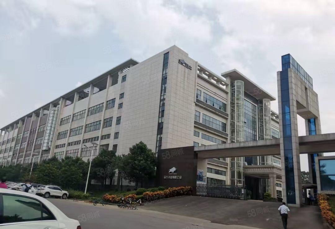 一楼8米高的厂房出租大朗独院分租一楼8000平