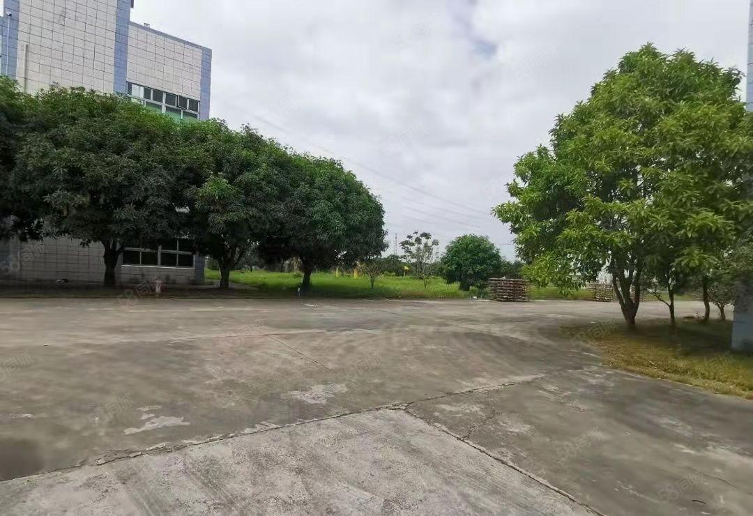 洋坑塘原房东花园式小独院8800平厂房 低价出租