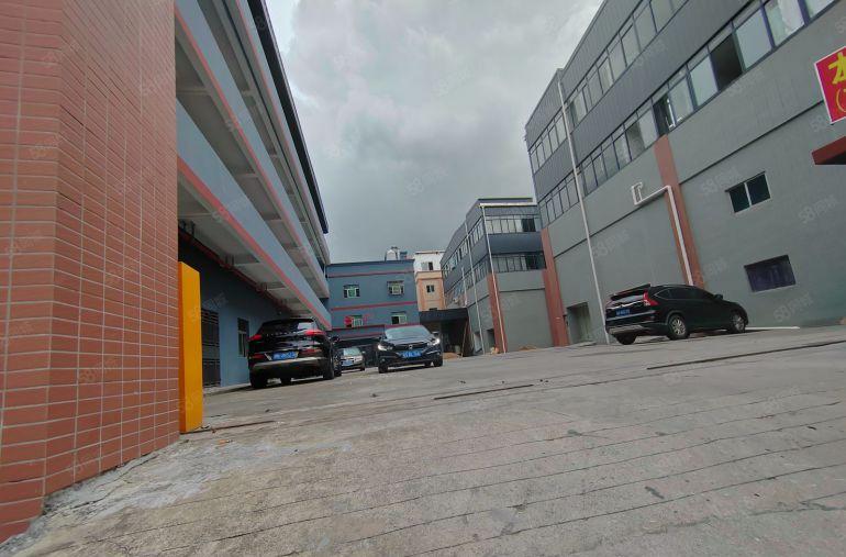 大朗镇石厦标准厂房一楼1300平方米，交通方便，高度7米