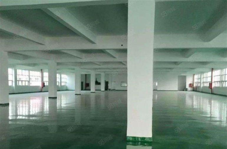 9.9元全包 大朗洋乌原房东5000平独院厂房低价招租