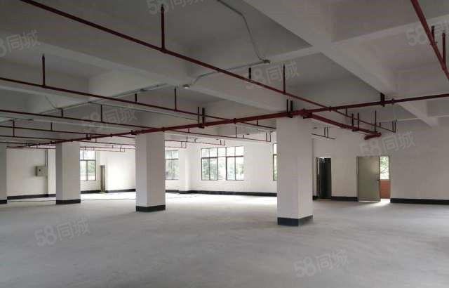 本人新建 大朗新马莲2500平方独院厂房 有意向随时可看厂