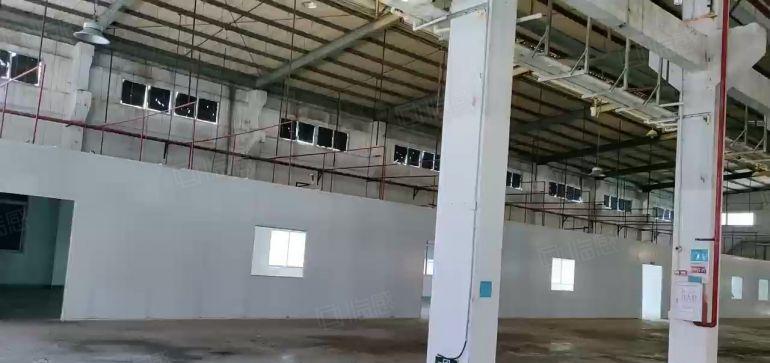 大朗S357旁单一层高9米钢结构2600平方厂房仓库出租