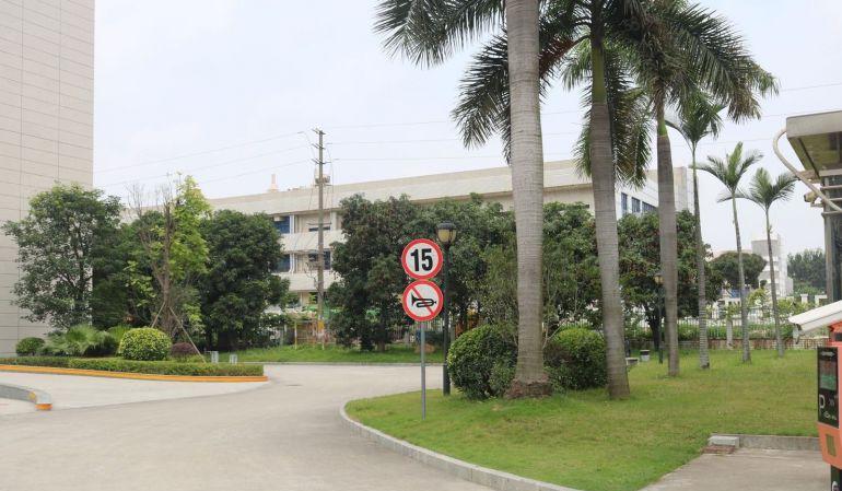 东莞 大朗 原房东 500平 全新厂房出租