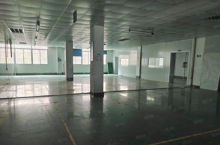 大朗精装1400平标准厂房出租 现成办公室车间 园区停车免费