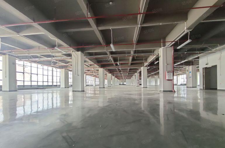 大朗镇新空出楼上3380方厂房出租仓库出租工业园区厂房仓库