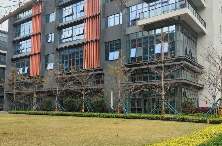 大朗镇原房东花园式独栋红本厂房，特价15元急租。主干道边上。