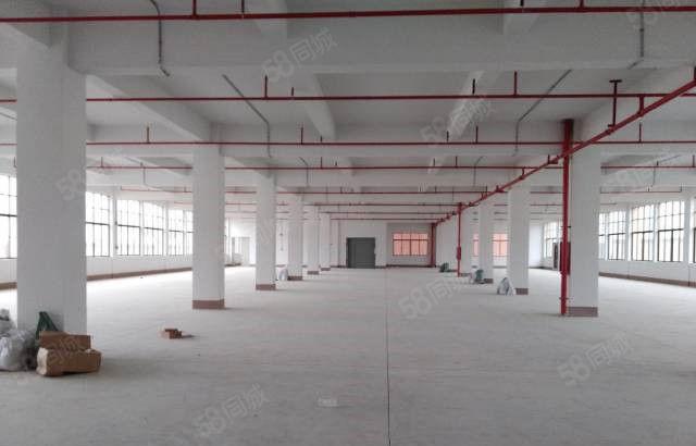 惊喜价11元 大朗一手房东独院两层2700平方标准厂房急租了