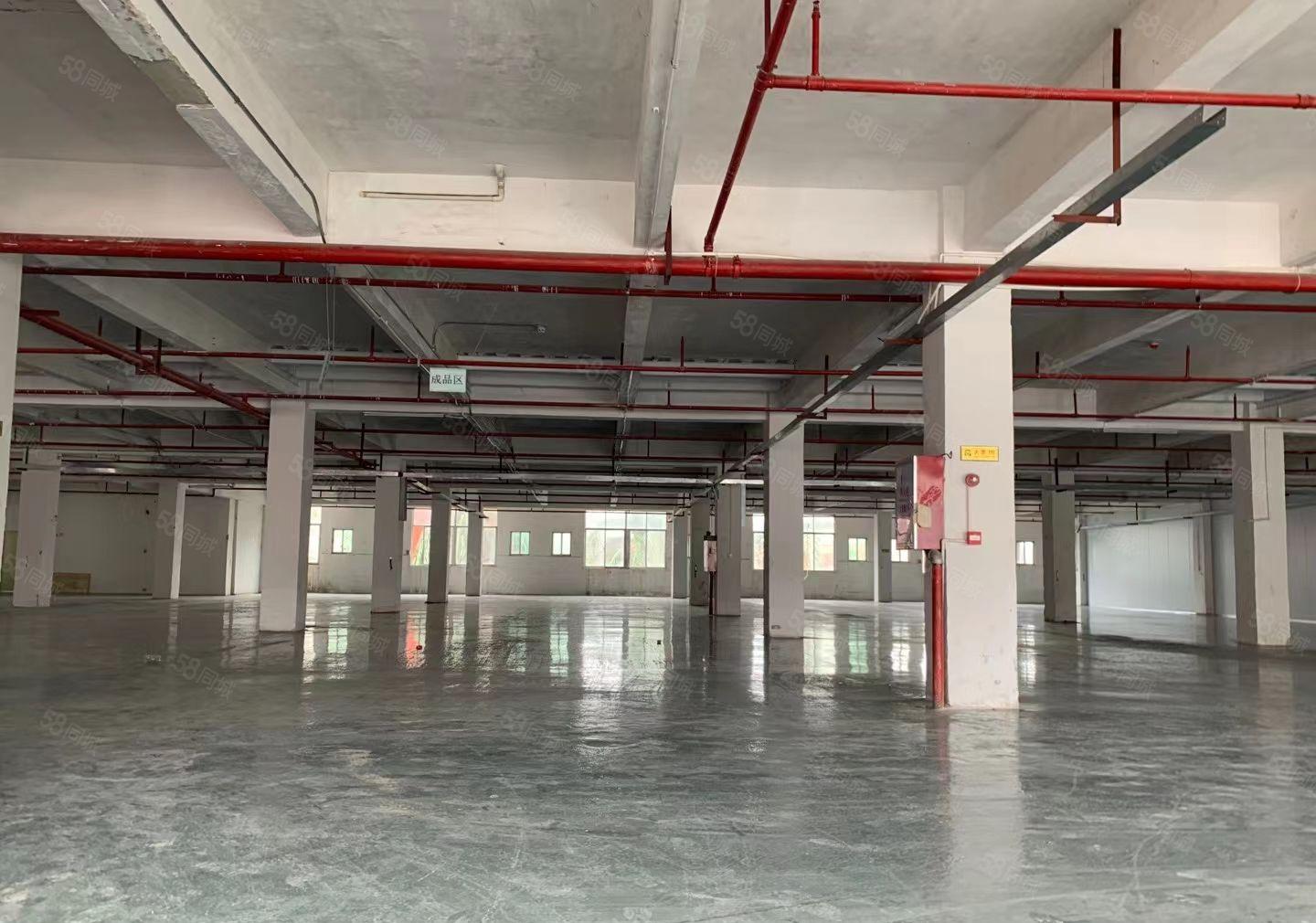 特价12元 大朗工业园区 可环评 500平起租 适合各行各业