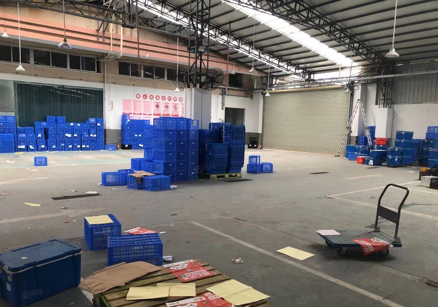 亏本甩租 大朗蔡边820平方独院铁皮房 只租10元