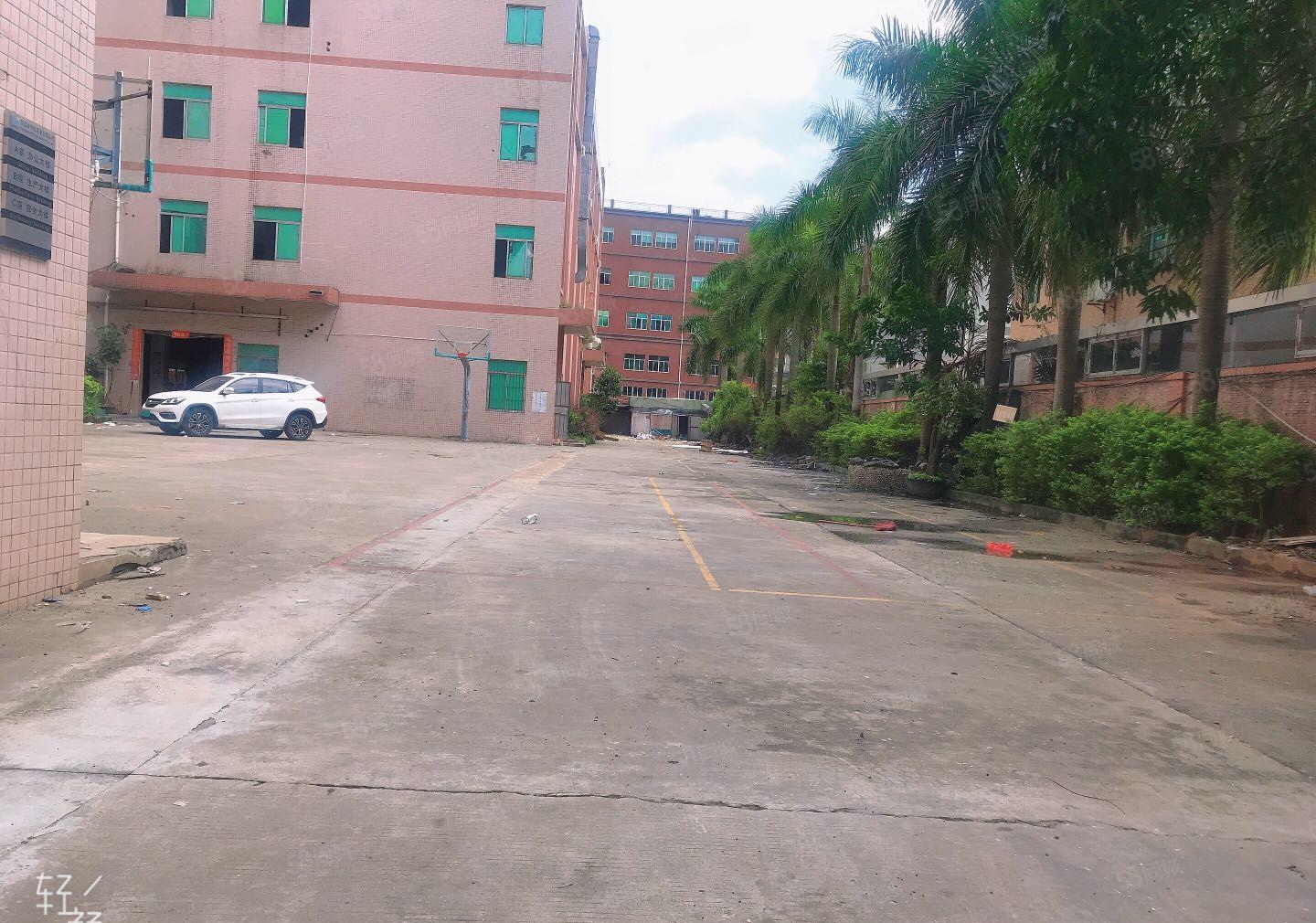 大朗工业区独院厂房首层高度6米配套齐全可办环评