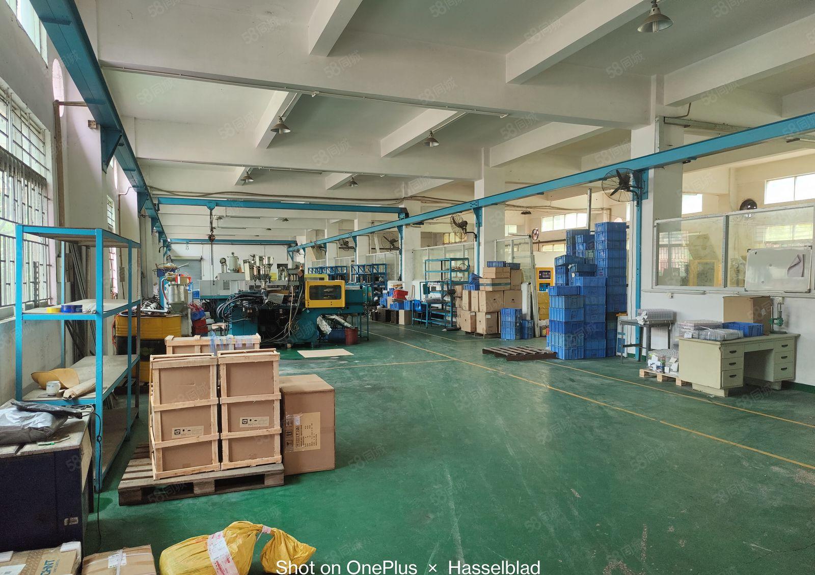 15起低价靓盘大朗临深高速入口1万平经典独院厂房出租大小可分