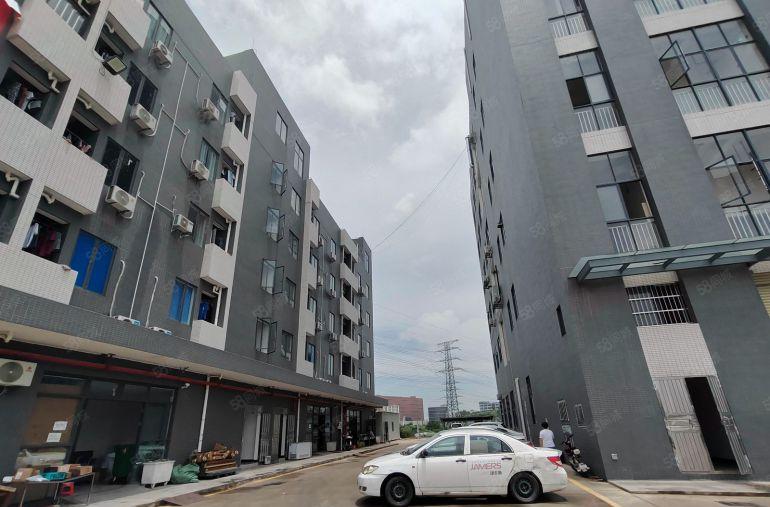 大朗厂房出租 现代园区厂房 600方起 大小可分 有卸货平台