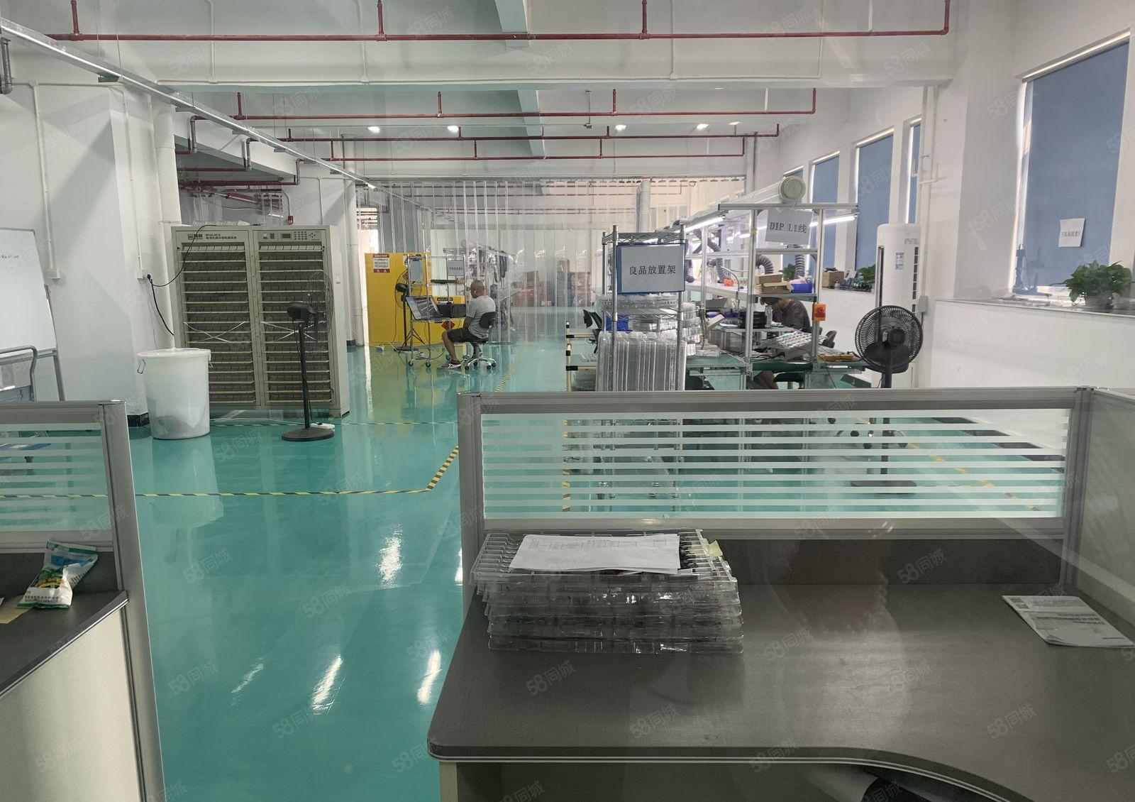 大朗象山原房东楼上1300平精装修厂房出租，