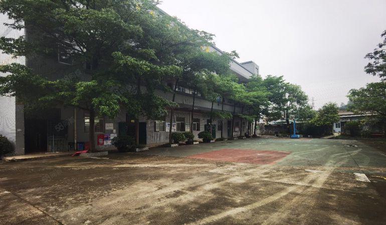 大朗靠松山湖原房东花园式独院厂房