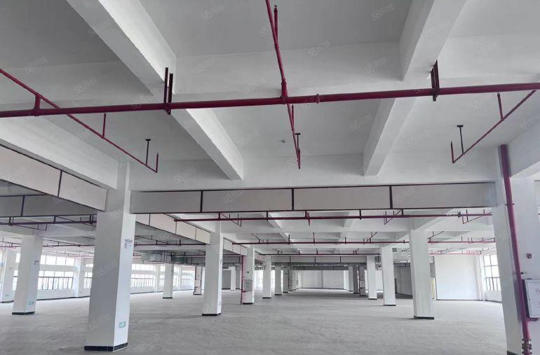 原房东标准厂房出租，工业用地 可办环评周边无居民，交通便利。