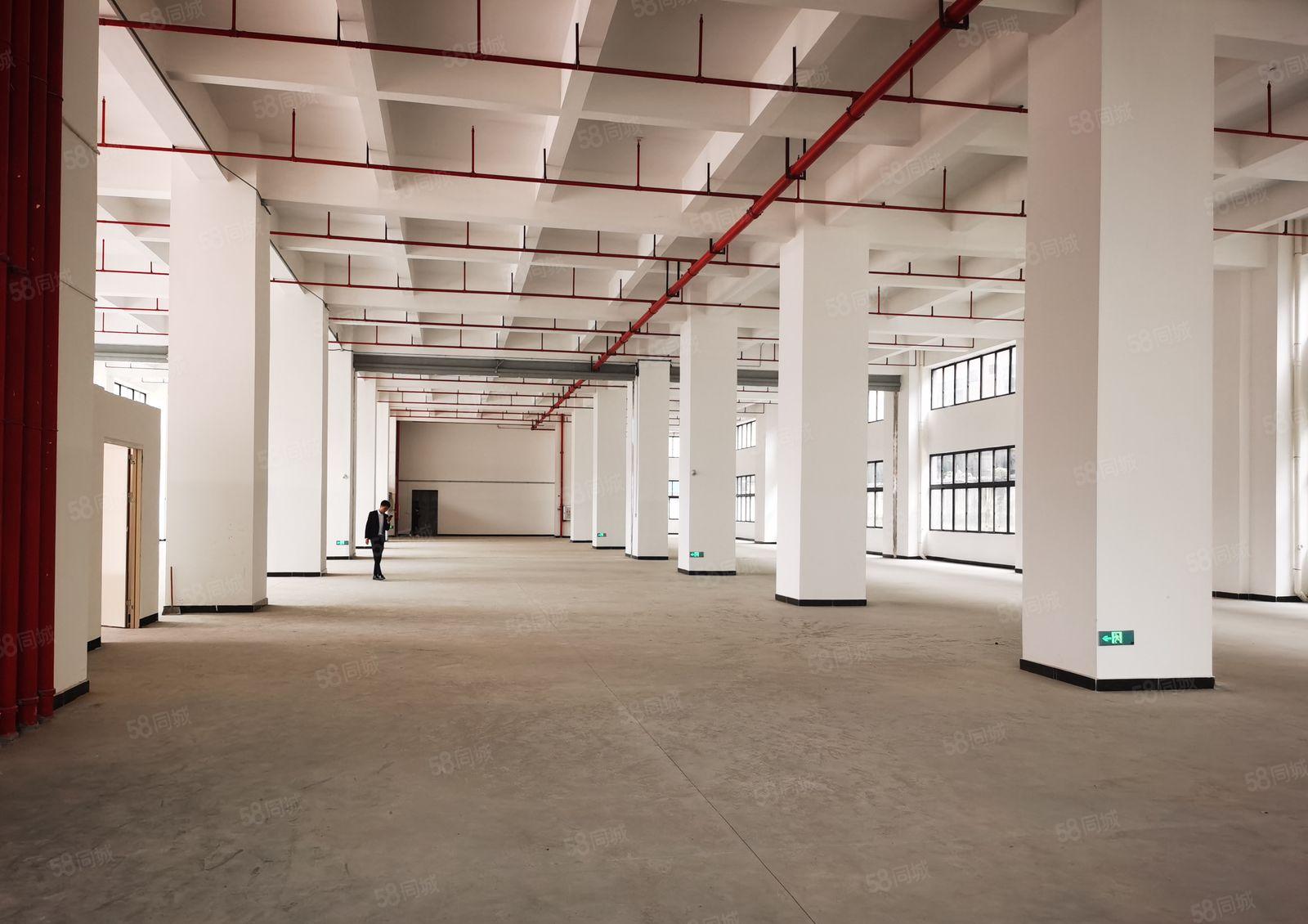 大朗镇新出原房东标准厂房可分租易招工