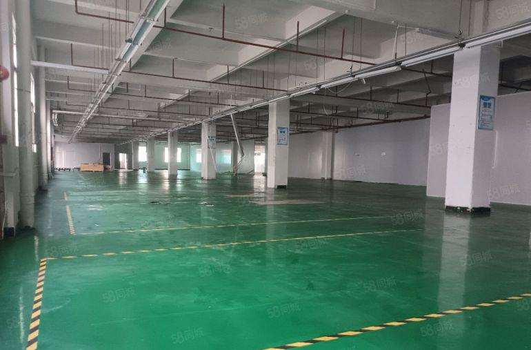 大朗镇新出独院标准厂房8000平米