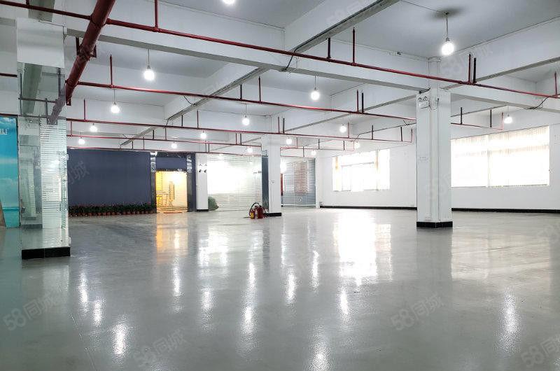 10元招租 大朗巷尾3500平方独院厂房带毛织设备转让