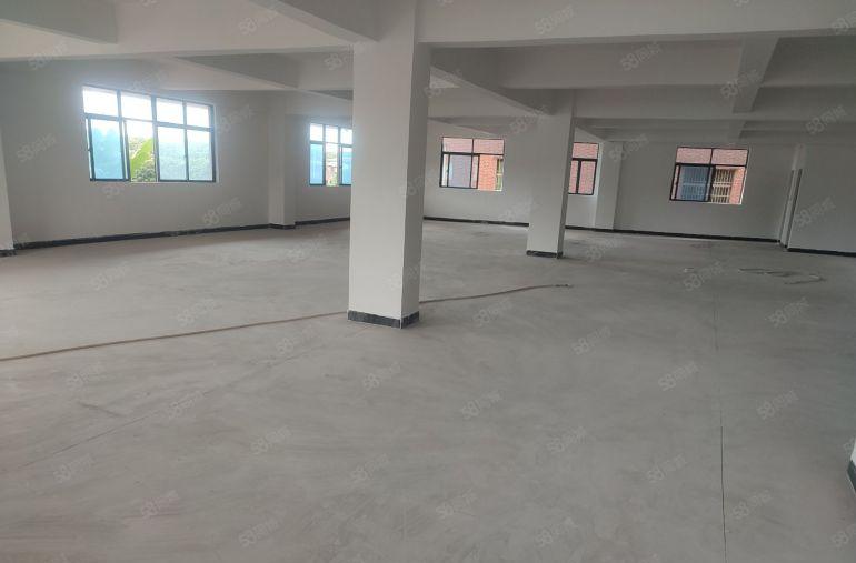 一楼出租带独院 仓库出租  免租期长 行业不限 全新一楼出租