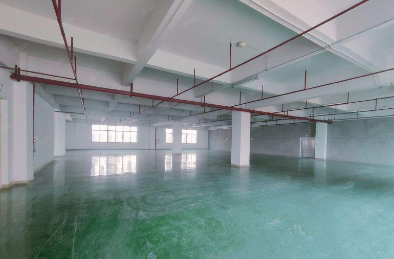 大朗原房东象山工业城分租楼上5800平 1000平起分