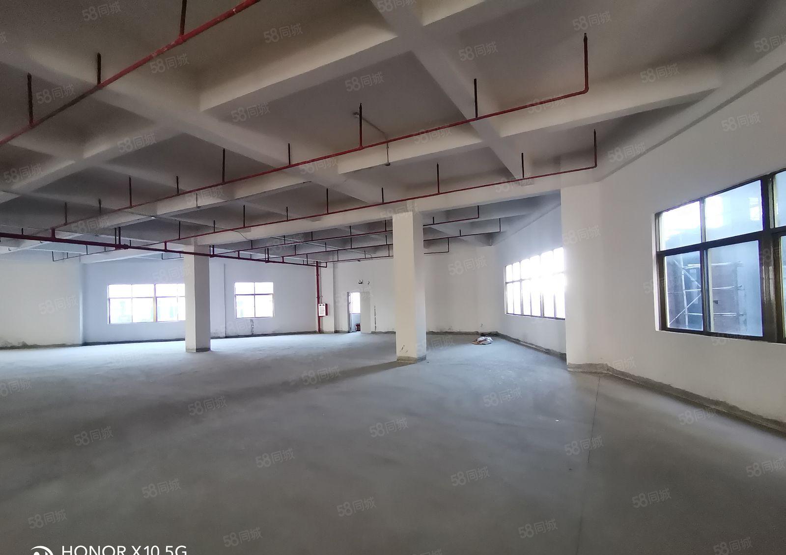 原房东超低价9块9元大马路上 形象好厂房出租