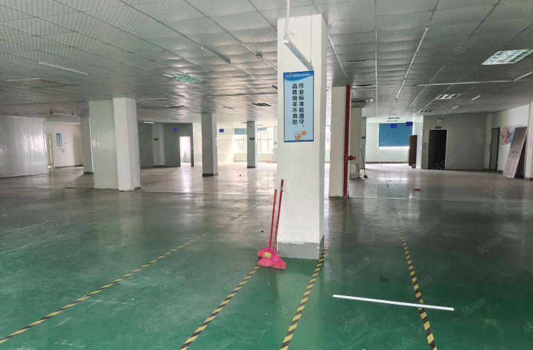 大朗松山湖精装1400平厂房诚意出租 配电按需 园区停车免费