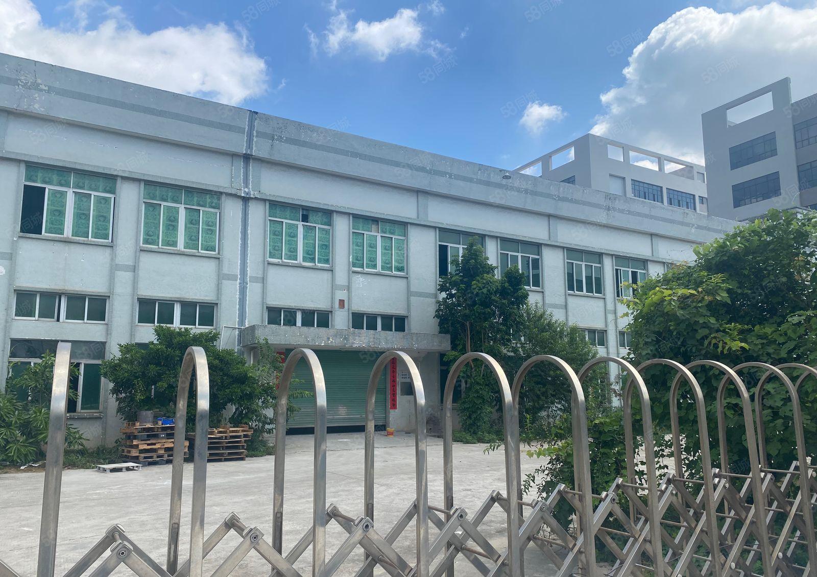 大朗镇原房东二层独立厂房5000平，带精装修办公室。