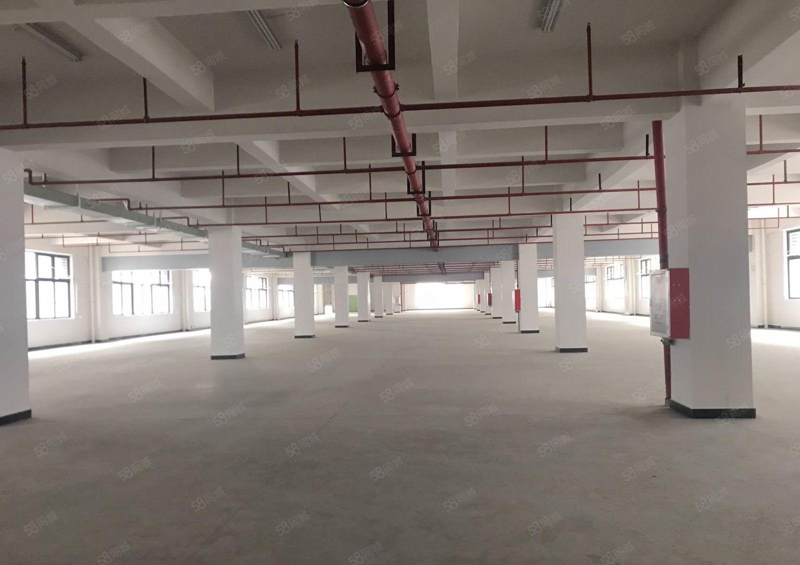 大朗新出原房东4万平花园式独门独院厂房出租，厂房形象大气，