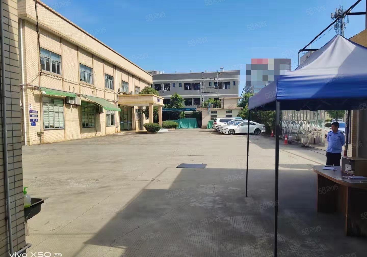 大朗新出10米钢结构独院厂房8000平