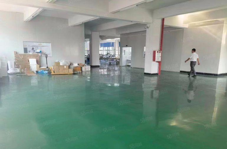 房东急租 大朗洋乌5000平方独院厂房 形象非常漂亮