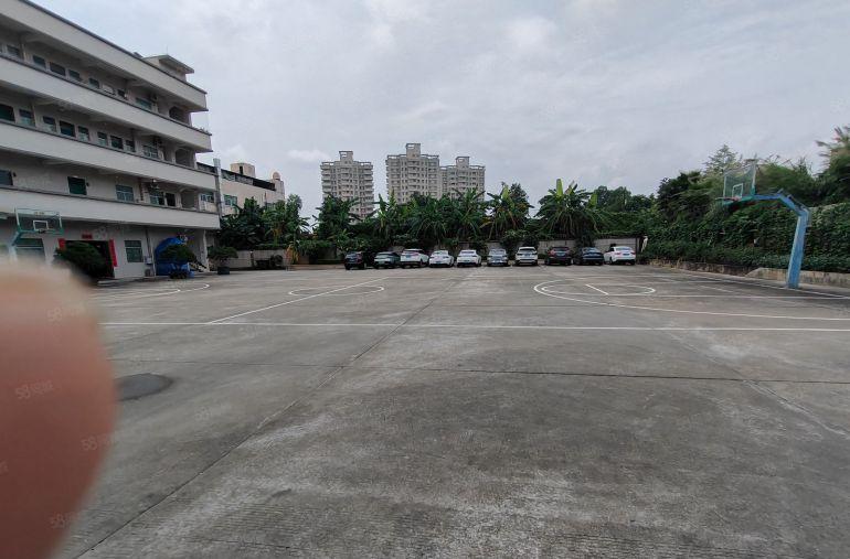 大朗镇 独院厂房 整租 5000平米 形象好 场地很大看图