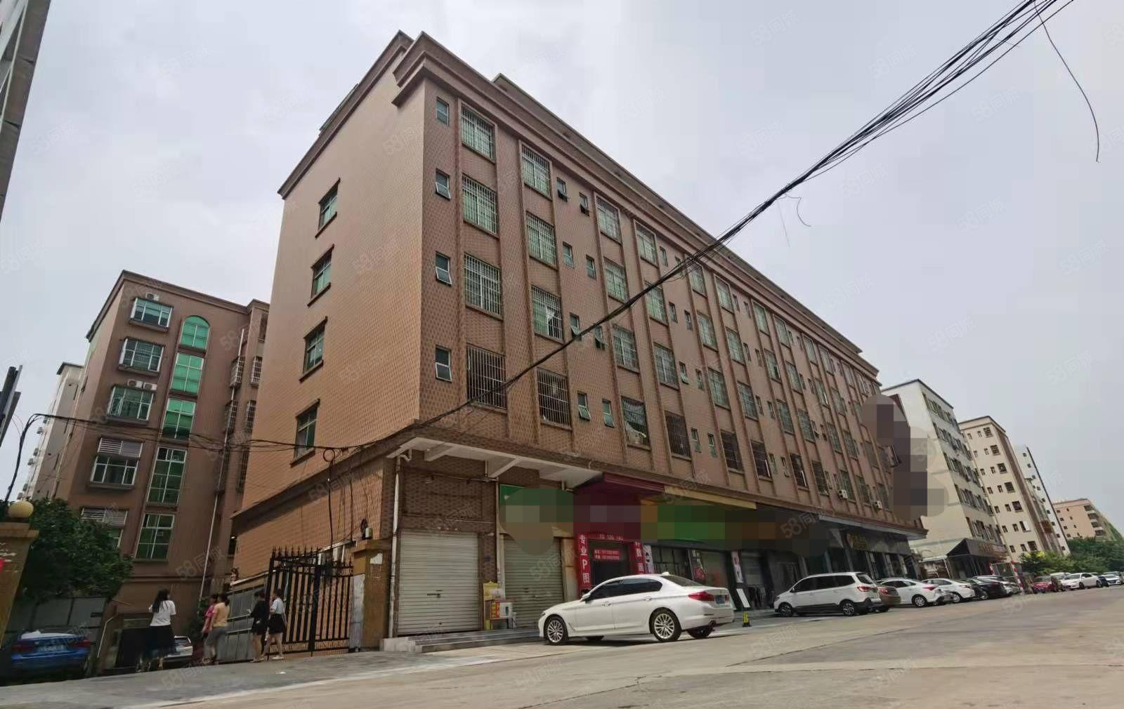 大朗原房东6300平装修 独门独院国有证招工容易交通方便