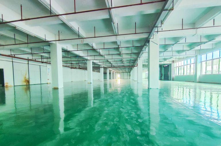 大井头新出楼上2000平带精装修办公室标准厂房，全新地坪漆