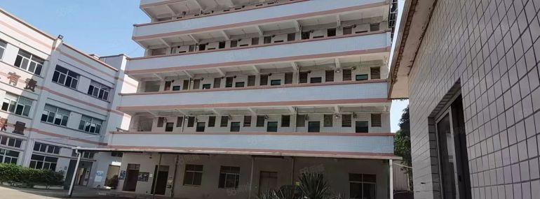 看中速来电 大朗长塘独院一楼860平方厂房 只要11元