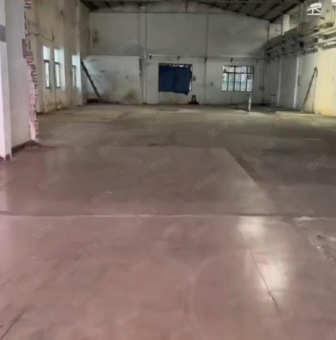 大朗新马莲单一层钢结构砖墙到顶750平厂房出租现成办公室