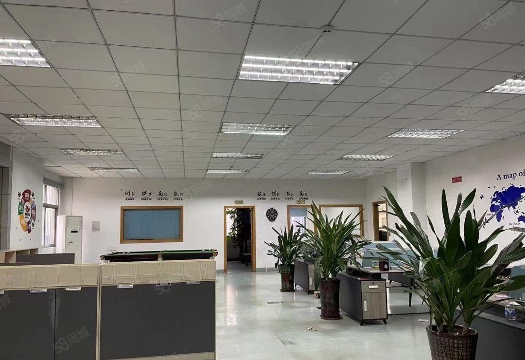 大朗象山工业城厂房出租8000平独门独院厂房12层带装修