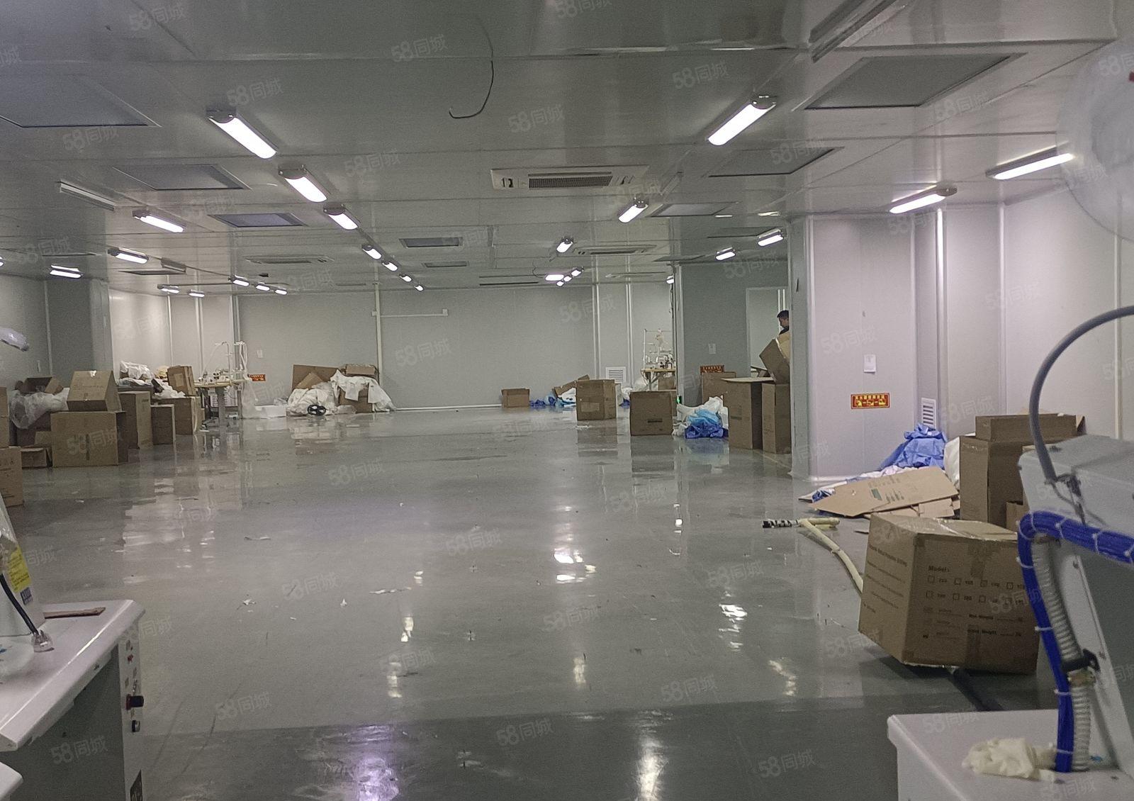 大朗镇新出无尘车间1800平