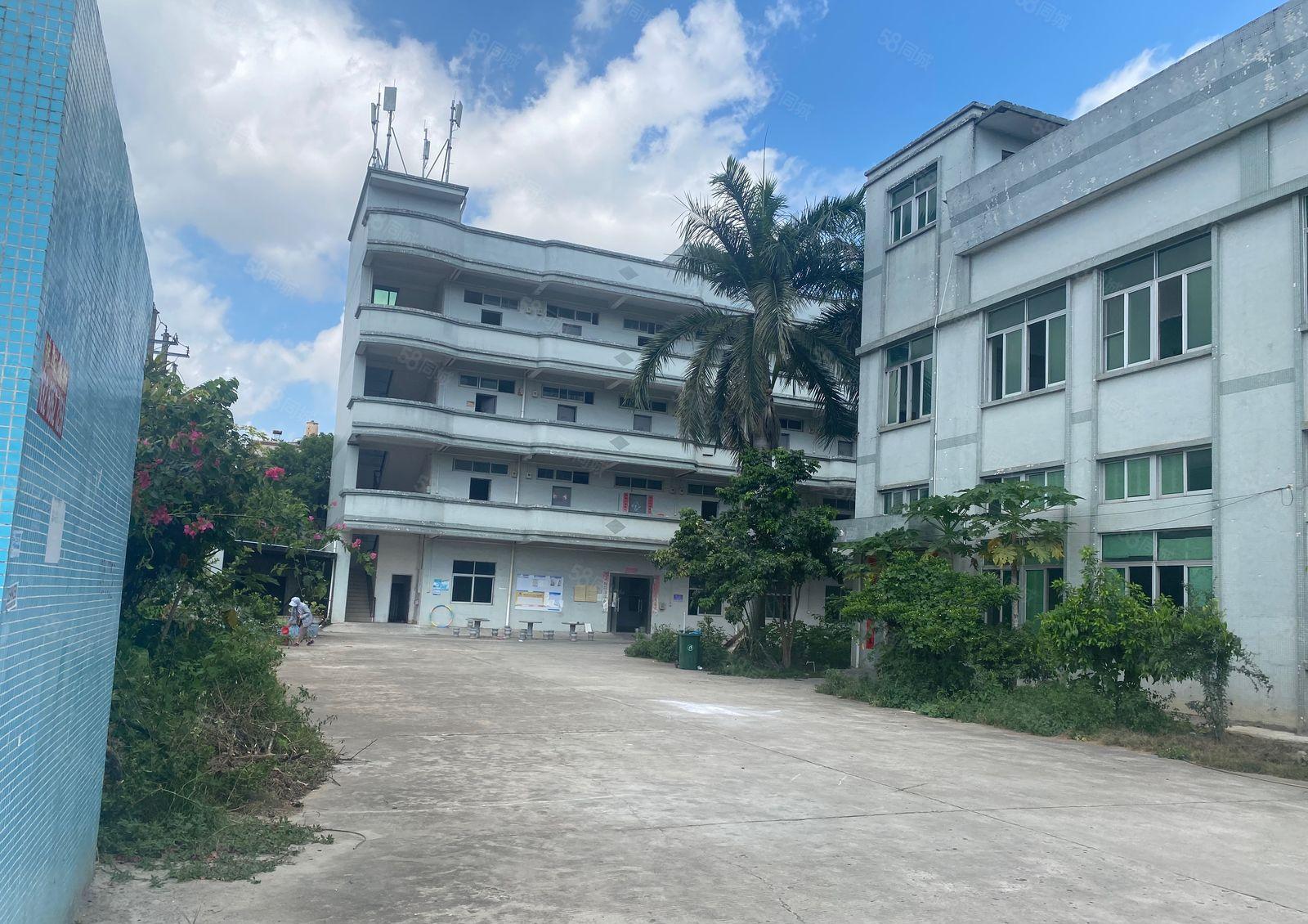 大朗镇原房东二层独立厂房5000平，带精装修办公室。