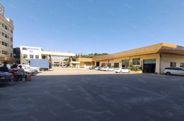 大朗富民工业城新空出精装一楼620平，滴水6米，水电齐全