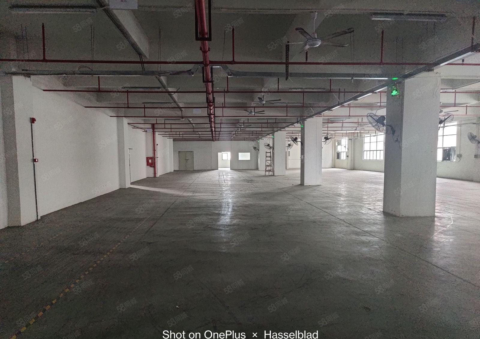 15起低价靓盘大朗临深高速入口1万平经典独院厂房出租大小可分