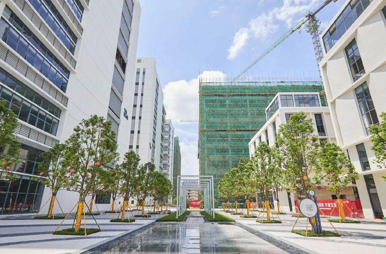 无公摊开发商直租全新厂房可签十年长约