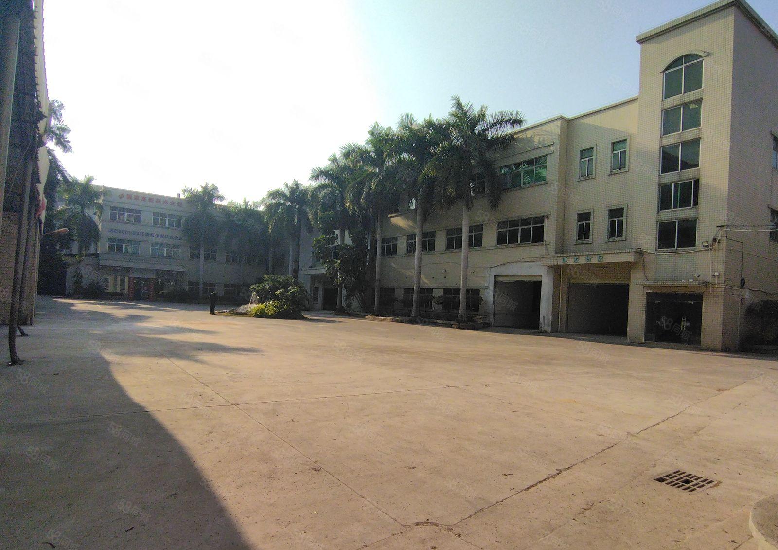 大朗花园式双证红本独院厂房内部精装修停车位充足可办环评