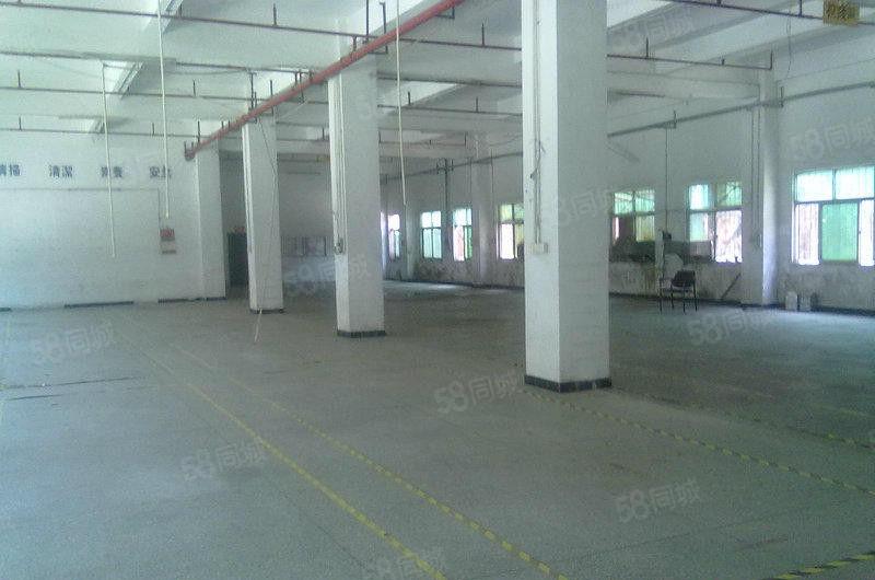 暗盘10元招租 大朗求富路一楼700平方厂房适合五金设备