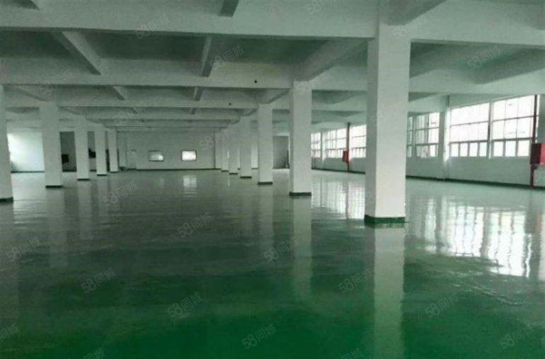 9.9元全包 大朗洋乌原房东5000平独院厂房低价招租