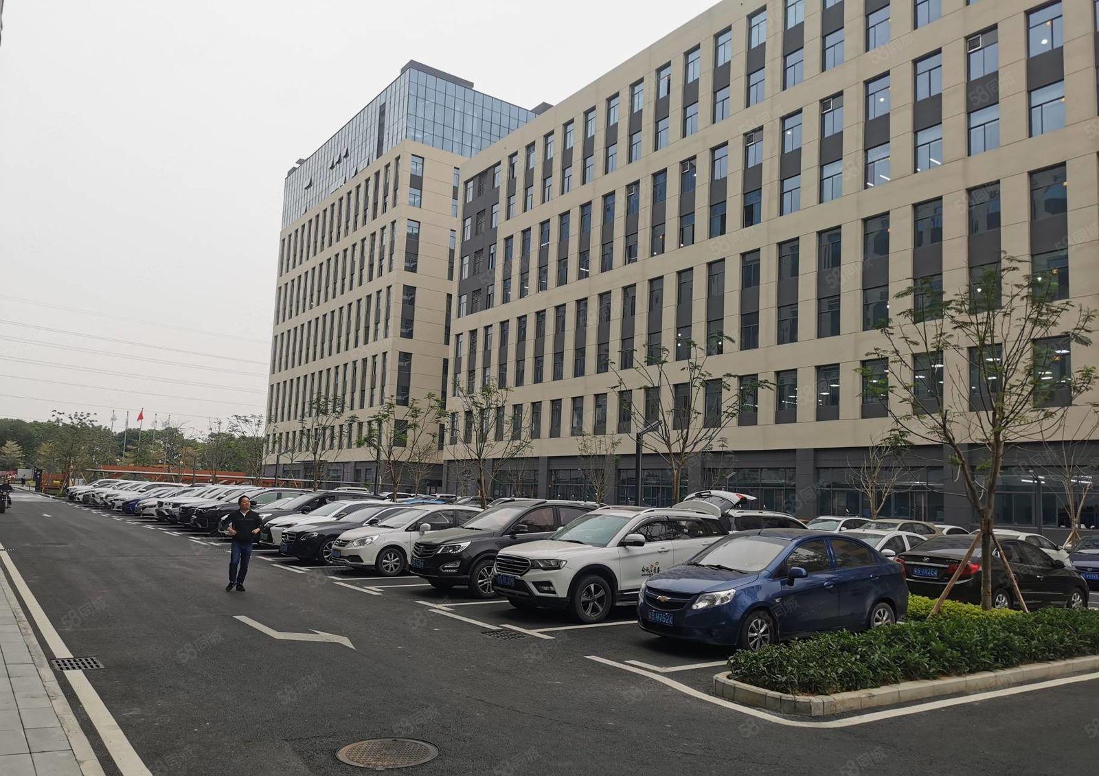 大朗洋乌村全新重工业厂房出租楼上层高6米承重2吨面积可分