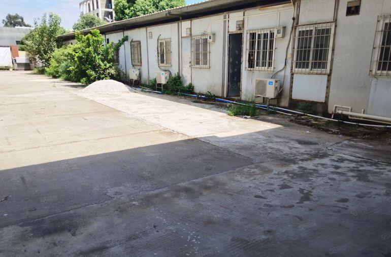 大朗镇4000方独院砖墙到顶钢结构工业厂房出租个人仓库厂房租