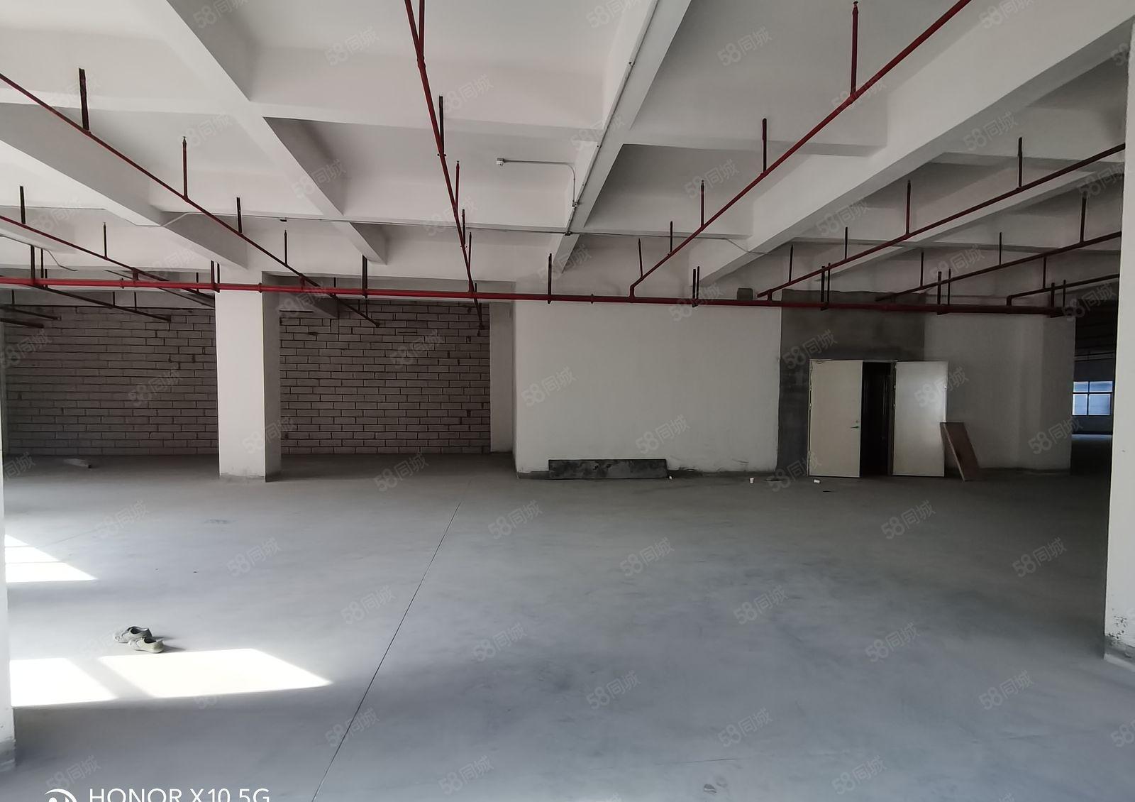 原房东超低价9块9元大马路上 形象好厂房出租