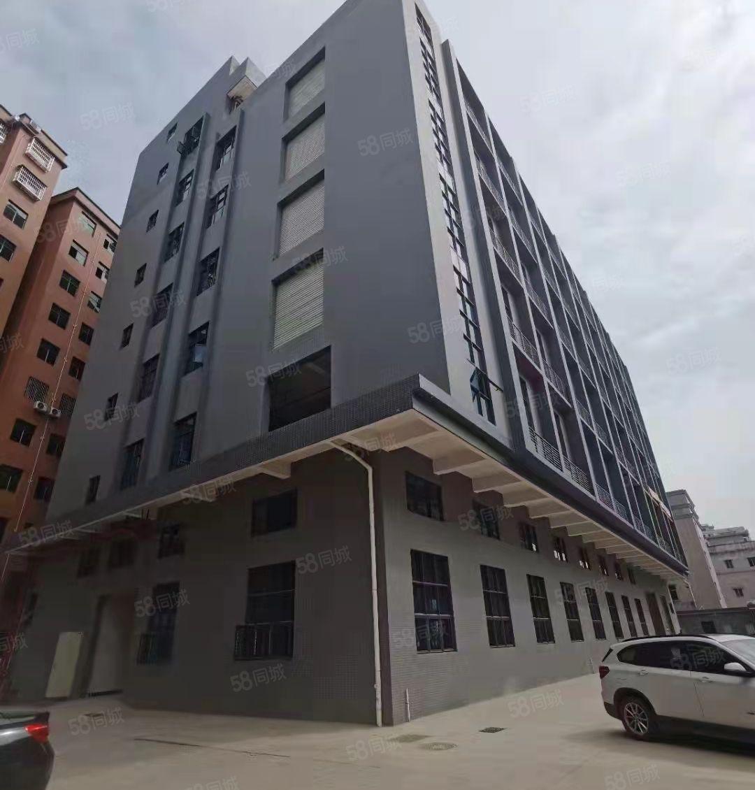 一楼900平起租 新马莲 独院厂房13000平 环评消防喷淋